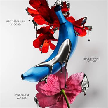 Hugo Boss X Krink Edp