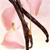 Lancome Idole Nectar