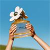 Marc Jacobs Daisy EDT