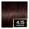 LOreal Prefernce Intense Deep Brown 4.15