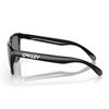 Oakley Frogskins Polished Black Glasses  Polished Black