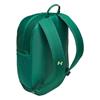 Under Armour Hustle Lite Backpack  Campus Ivy 312