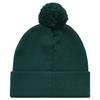 Abacus Edison Knitted Hat  Course Green 543