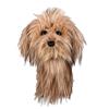 Daphne's Animal  Headcover  Scruffy Dog