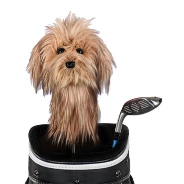 Daphne's Animal  Headcover  Scruffy Dog