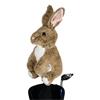 Daphne's Animal  Headcover  Rabbit