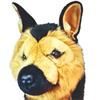 Daphne's Animal Headcovers  German Shepard