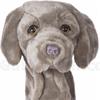 Daphne's Animal   Headcovers  Weimaraner