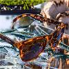 GOODR Bosleys Basset Hound Dreams Glasses  Tortoise Shell