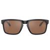 Oakley Holbrook Matte Black Glasses 55 Prizm Tungsten Polarized