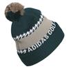 adidas Gents Cld  Rdy Beanie  Aurora Ivy