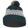 adidas Gents Cld  Rdy Beanie  Aurora Ivy