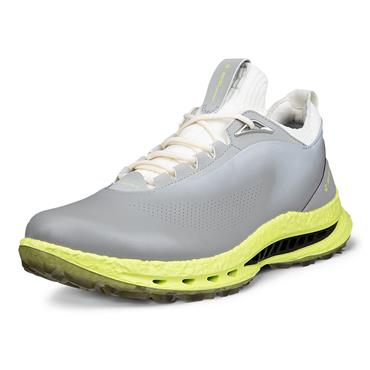 Ecco Gents Golf Biom® C5 Shoes Wild Dove (55915)