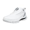 Ecco Gents Golf Biom C5 BOA Premium Leather Gore-Tex Shoes White - Buffed Silver (54510)