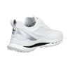 Ecco Gents Golf Biom C5 BOA Premium Leather Gore-Tex Shoes White - Buffed Silver (54510)
