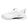 Ecco Gents Golf Biom C5 BOA Premium Leather Gore-Tex Shoes White - Buffed Silver (54510)