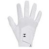 Under Armour Gents Iso-Chill Glove Right Hand White - Black (100)