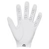 Under Armour Tour Golf Glove Right Hand White - Castlerock (100)