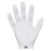 Under Armour Tour Golf Glove Right Hand White - Castlerock (100)