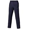 Mizuno Gents Arc Rain Pants Baritone Blue