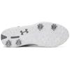 Under Armour Gents Drive Fade 2 Shoes White - Titan Gray - Metallic Silver (100)