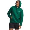 Under Armour Gents Rival Fleece Hoodie Campus Ivy (312)