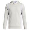 Under Armour Junior - Boys Hoodie Summit White (110)
