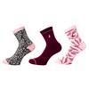 Green Lamb Ladies 3-Pair Socks Black/ Blossom/ Deep Beet