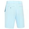 Callaway Gents Lightweight Tech 10" Shorts Arctic Paradise (464)