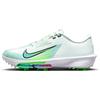 Nike Gents Air Zoom Infinity Tour 2 Shoes Barely Green - White - Green Strike (300)