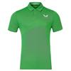 Castore Gents Pinnacle Engineered Knit Polo Shirt Pine Grey