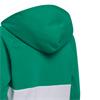 adidas Junior Unisex Colorblock Hoodie Court Green