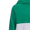 adidas Junior Unisex Colorblock Hoodie Court Green