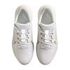 Nike Gents Pegasus 1 G Shoe White - Sail (101)