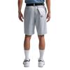 Nike Gents DriFit Velocity Shorts Wolf - Grey (Grey 012)