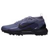Nike Gents Pegasus 1 G GORE-TEX Shoes Iron Purple - Black (500)
