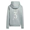 adidas Unisex Junior Climawarm Graphic Hoodie Sweatshirt Wonder Sage