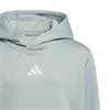 adidas Unisex Junior Climawarm Graphic Hoodie Sweatshirt Wonder Sage