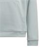 adidas Unisex Junior Climawarm Graphic Hoodie Sweatshirt Wonder Sage