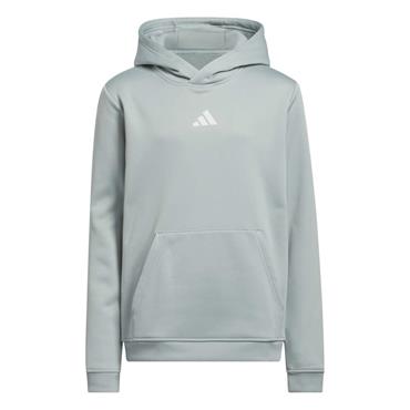 adidas Unisex Junior Climawarm Graphic Hoodie Sweatshirt Wonder Sage