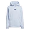 adidas Unisex Junior Climawarm Graphic Hoodie Sweatshirt Crystal Sky