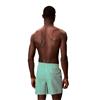 Calvin Klein Golf Gents CK Monogram Medium Drawstring Swim Shorts Penny Stripe - Mardi Gras Green
