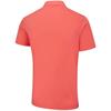 Ping Gents Lindum Polo Shirt Dubarry