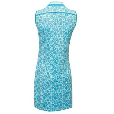 Green Lamb Ladies Emer Sleeveless Print Dress Botanical