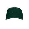 TaylorMade Gents LS Horizon Stock Hat Regular Green