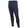 Falcon Skinny Jogpants Navy