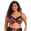 Morgan Bra - Hot House