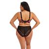 Morgan High Leg Brief - Hot House