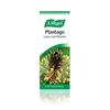 A. Vogel Plantago Drops 50ml