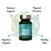 GreenCastle Kelp Irish Moss & Bladderwrack 60 Capsules